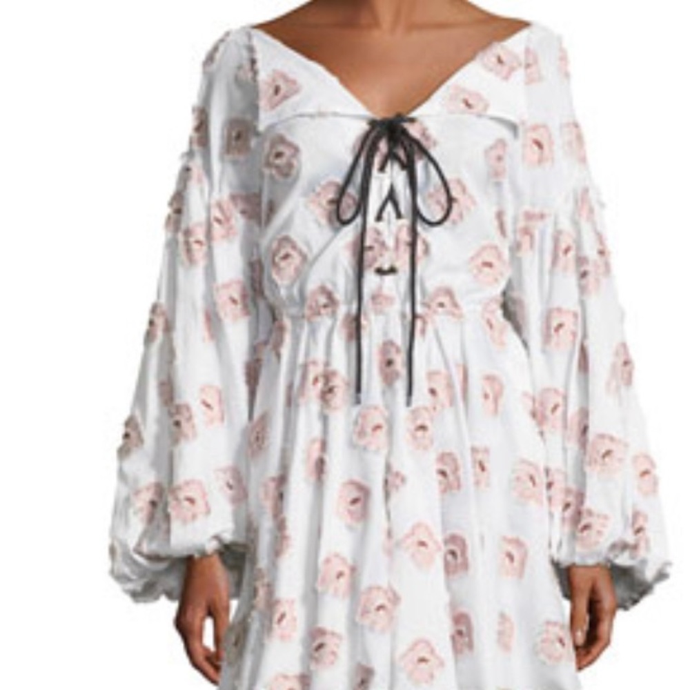 Caroline Constas Dress XS NWT